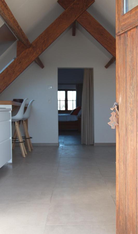 De Heide, Cozy Apartment With Separate Entrance Kampenhout Esterno foto